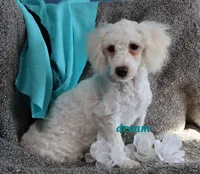 processed/0f854062-181b-401c-8c93-d366ea41d375/listing/bf430733-bc7f-4dd8-a423-488978fa9c2a/bef29420-a10e-4d49-9fa2-0fcd2f7a1fd5