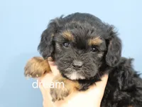 processed/0f854062-181b-401c-8c93-d366ea41d375/listing/e666daf6-c51b-4a6e-ab77-c2521a366195/2c10f49b-8958-4912-987d-78eb812e7d01