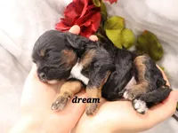 processed/0f854062-181b-401c-8c93-d366ea41d375/listing/e666daf6-c51b-4a6e-ab77-c2521a366195/52709211-815c-427b-9af1-45823dc4602a