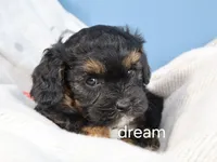 processed/0f854062-181b-401c-8c93-d366ea41d375/listing/e666daf6-c51b-4a6e-ab77-c2521a366195/8af406fb-9fcc-447d-98bb-9bf45732b5fe