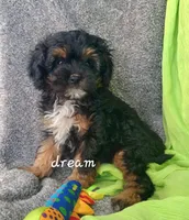 processed/0f854062-181b-401c-8c93-d366ea41d375/listing/e666daf6-c51b-4a6e-ab77-c2521a366195/b2a38219-a090-4a61-be12-5a5390211eb0