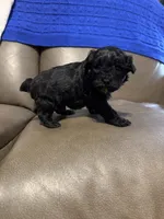 processed/0f8642d5-06ea-4a7a-988b-408cce6683d7/listing/18d01f22-98fa-407d-8ddb-8ee54c8c28b8/02448043-cdff-42a0-bf94-cc4bc1b32122