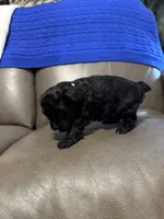 processed/0f8642d5-06ea-4a7a-988b-408cce6683d7/listing/18d01f22-98fa-407d-8ddb-8ee54c8c28b8/37517668-289b-43f6-b117-02ddd9727c39