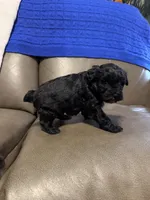 processed/0f8642d5-06ea-4a7a-988b-408cce6683d7/listing/18d01f22-98fa-407d-8ddb-8ee54c8c28b8/579cd282-1e9f-4721-a4b5-1cedbbcafee0