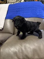 processed/0f8642d5-06ea-4a7a-988b-408cce6683d7/listing/18d01f22-98fa-407d-8ddb-8ee54c8c28b8/711aae9a-d5c8-49ab-bc23-2f157321c9eb