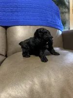 processed/0f8642d5-06ea-4a7a-988b-408cce6683d7/listing/18d01f22-98fa-407d-8ddb-8ee54c8c28b8/8b6344e1-e6f7-406f-9ada-31c9dafe2c20