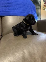 processed/0f8642d5-06ea-4a7a-988b-408cce6683d7/listing/18d01f22-98fa-407d-8ddb-8ee54c8c28b8/920ca40b-1e19-4794-bf88-aac7920a93e4