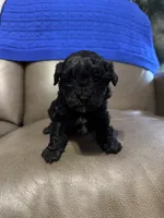 processed/0f8642d5-06ea-4a7a-988b-408cce6683d7/listing/18d01f22-98fa-407d-8ddb-8ee54c8c28b8/a0301620-ec34-4f2c-a495-64e70eb4f68b