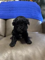 processed/0f8642d5-06ea-4a7a-988b-408cce6683d7/listing/18d01f22-98fa-407d-8ddb-8ee54c8c28b8/efb64535-6c13-4eee-94ba-33f07def8a90