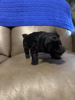 processed/0f8642d5-06ea-4a7a-988b-408cce6683d7/listing/18d01f22-98fa-407d-8ddb-8ee54c8c28b8/fa229672-1c37-4c9b-84f4-8635797796b9