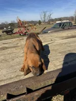 processed/0f8642d5-06ea-4a7a-988b-408cce6683d7/listing/3f2124bc-4ac0-4a31-a045-676dff0229e8/07b4e6d6-3164-414d-8306-75f8a0acf837