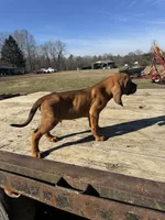 processed/0f8642d5-06ea-4a7a-988b-408cce6683d7/listing/3f2124bc-4ac0-4a31-a045-676dff0229e8/2e70c376-0d91-4931-a280-27c43d68879c