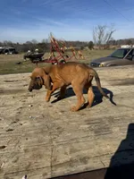 processed/0f8642d5-06ea-4a7a-988b-408cce6683d7/listing/3f2124bc-4ac0-4a31-a045-676dff0229e8/4733cb8b-7421-41da-9681-296aaad36940