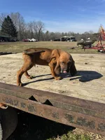 processed/0f8642d5-06ea-4a7a-988b-408cce6683d7/listing/3f2124bc-4ac0-4a31-a045-676dff0229e8/987ae9d8-1dbd-4404-b46a-b3bc6c18c0e2