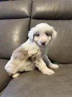 processed/0f8642d5-06ea-4a7a-988b-408cce6683d7/listing/4c56db4b-6799-456c-8e9b-15c68366fc57/1205fab9-666e-4318-9ec7-02c8baaaa65b