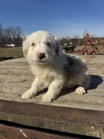 processed/0f8642d5-06ea-4a7a-988b-408cce6683d7/listing/4c56db4b-6799-456c-8e9b-15c68366fc57/4aee89c0-fa80-4db9-8f3f-27959bc0f709