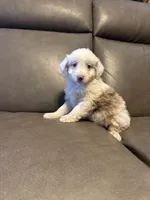 processed/0f8642d5-06ea-4a7a-988b-408cce6683d7/listing/4c56db4b-6799-456c-8e9b-15c68366fc57/9b0be538-59d4-4587-9d8f-d54c2fcc2631