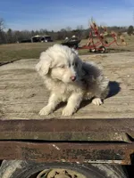 processed/0f8642d5-06ea-4a7a-988b-408cce6683d7/listing/4c56db4b-6799-456c-8e9b-15c68366fc57/d6ea9654-c802-4368-a423-d4add2df522b