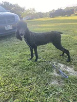 processed/0f8642d5-06ea-4a7a-988b-408cce6683d7/listing/4fb63a9a-fd04-4027-90e6-c3c3dcc908c6/6bd5e3ee-e099-4333-805f-ca261eacf826