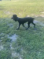 processed/0f8642d5-06ea-4a7a-988b-408cce6683d7/listing/4fb63a9a-fd04-4027-90e6-c3c3dcc908c6/ebb71a33-6342-4b97-b295-7855cb3782fb