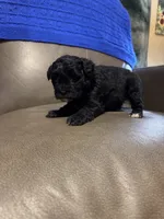 processed/0f8642d5-06ea-4a7a-988b-408cce6683d7/listing/718d0ef3-b2c0-4174-8094-e57b901b4a9a/2166f654-c159-4fdd-899c-fad776a684b8