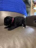 processed/0f8642d5-06ea-4a7a-988b-408cce6683d7/listing/718d0ef3-b2c0-4174-8094-e57b901b4a9a/2b138d12-6e2b-413e-a71b-853dc0457dc0