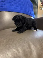 processed/0f8642d5-06ea-4a7a-988b-408cce6683d7/listing/718d0ef3-b2c0-4174-8094-e57b901b4a9a/3a46f388-5a2e-48df-b7f8-46fcdfa8377e