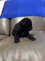 processed/0f8642d5-06ea-4a7a-988b-408cce6683d7/listing/718d0ef3-b2c0-4174-8094-e57b901b4a9a/7c519160-87bb-4bf5-994b-d5fa053fdf7f