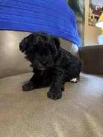 processed/0f8642d5-06ea-4a7a-988b-408cce6683d7/listing/718d0ef3-b2c0-4174-8094-e57b901b4a9a/ad6b9335-631d-4507-817a-c498f490b4ca