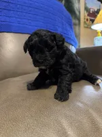 processed/0f8642d5-06ea-4a7a-988b-408cce6683d7/listing/718d0ef3-b2c0-4174-8094-e57b901b4a9a/b3cfedb2-77f3-4e97-b9d0-bdf0b93492da