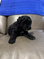 processed/0f8642d5-06ea-4a7a-988b-408cce6683d7/listing/718d0ef3-b2c0-4174-8094-e57b901b4a9a/c847c53e-2505-4070-8e6f-348601c3cf8a