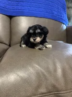 processed/0f8642d5-06ea-4a7a-988b-408cce6683d7/listing/8245ed66-9612-4e4a-97ca-1b3e2ccf38fd/07806ddc-e9b7-42f4-9b7d-16236a13aa36