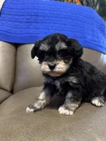 processed/0f8642d5-06ea-4a7a-988b-408cce6683d7/listing/8245ed66-9612-4e4a-97ca-1b3e2ccf38fd/0c158cdf-17a7-4d37-b09f-61c913ca6803