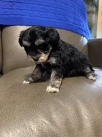 processed/0f8642d5-06ea-4a7a-988b-408cce6683d7/listing/8245ed66-9612-4e4a-97ca-1b3e2ccf38fd/1f04ecfb-61a2-49b6-8fc3-fb11e4b430be