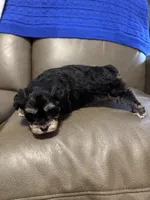 processed/0f8642d5-06ea-4a7a-988b-408cce6683d7/listing/8245ed66-9612-4e4a-97ca-1b3e2ccf38fd/1f8954b6-6b7a-4a30-b1d5-5e090a4e6946