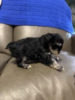 processed/0f8642d5-06ea-4a7a-988b-408cce6683d7/listing/8245ed66-9612-4e4a-97ca-1b3e2ccf38fd/699c145f-2683-485e-ba88-4cade4614c9c