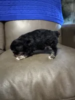 processed/0f8642d5-06ea-4a7a-988b-408cce6683d7/listing/8245ed66-9612-4e4a-97ca-1b3e2ccf38fd/9d9256f9-7291-4a70-8706-e011a1e60c30