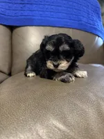 processed/0f8642d5-06ea-4a7a-988b-408cce6683d7/listing/8245ed66-9612-4e4a-97ca-1b3e2ccf38fd/9da9324c-1c82-4180-ac0f-25eac8cd3249