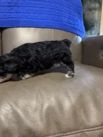 processed/0f8642d5-06ea-4a7a-988b-408cce6683d7/listing/8245ed66-9612-4e4a-97ca-1b3e2ccf38fd/b9ce15b4-2300-41d2-96b4-4dea0992314b