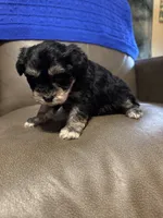 processed/0f8642d5-06ea-4a7a-988b-408cce6683d7/listing/8245ed66-9612-4e4a-97ca-1b3e2ccf38fd/e6310065-5dd5-4a8f-928a-f30b1e225a42