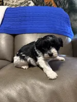 processed/0f8642d5-06ea-4a7a-988b-408cce6683d7/listing/8df9993a-96ca-4834-916a-6b43560f7596/1624daa4-3d0f-4345-ad51-93323c2a9ea2