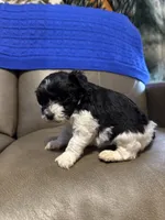 processed/0f8642d5-06ea-4a7a-988b-408cce6683d7/listing/8df9993a-96ca-4834-916a-6b43560f7596/25b50963-1ca2-4919-96fa-4a6df040dacc