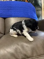 processed/0f8642d5-06ea-4a7a-988b-408cce6683d7/listing/8df9993a-96ca-4834-916a-6b43560f7596/2880643f-316e-4b99-bac0-e742035a2311