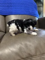 processed/0f8642d5-06ea-4a7a-988b-408cce6683d7/listing/8df9993a-96ca-4834-916a-6b43560f7596/383cf3f6-5423-4805-ade2-c09b5fd6577e