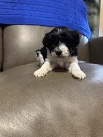 processed/0f8642d5-06ea-4a7a-988b-408cce6683d7/listing/8df9993a-96ca-4834-916a-6b43560f7596/5aa3626e-0589-42db-b748-5eeca7a61ed2