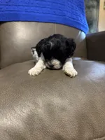 processed/0f8642d5-06ea-4a7a-988b-408cce6683d7/listing/8df9993a-96ca-4834-916a-6b43560f7596/f16453e1-327a-4598-b95b-52ac65ebb405