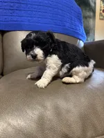 processed/0f8642d5-06ea-4a7a-988b-408cce6683d7/listing/8df9993a-96ca-4834-916a-6b43560f7596/f8664b22-0195-45ad-bbc4-3bc0af873c94