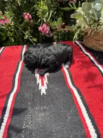 Daliha, a female Poodle - Miniature  for sale in Evensville, TN – 2 of 6
