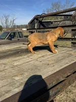 processed/0f8642d5-06ea-4a7a-988b-408cce6683d7/listing/a57b9d0a-65ff-4448-985e-24f4250d6102/57256c13-23f7-44a2-a82e-f0dab778bab0