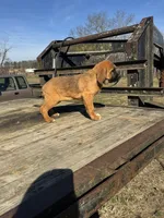 processed/0f8642d5-06ea-4a7a-988b-408cce6683d7/listing/a57b9d0a-65ff-4448-985e-24f4250d6102/8e98513d-4c58-4a18-a458-34b4a252281f